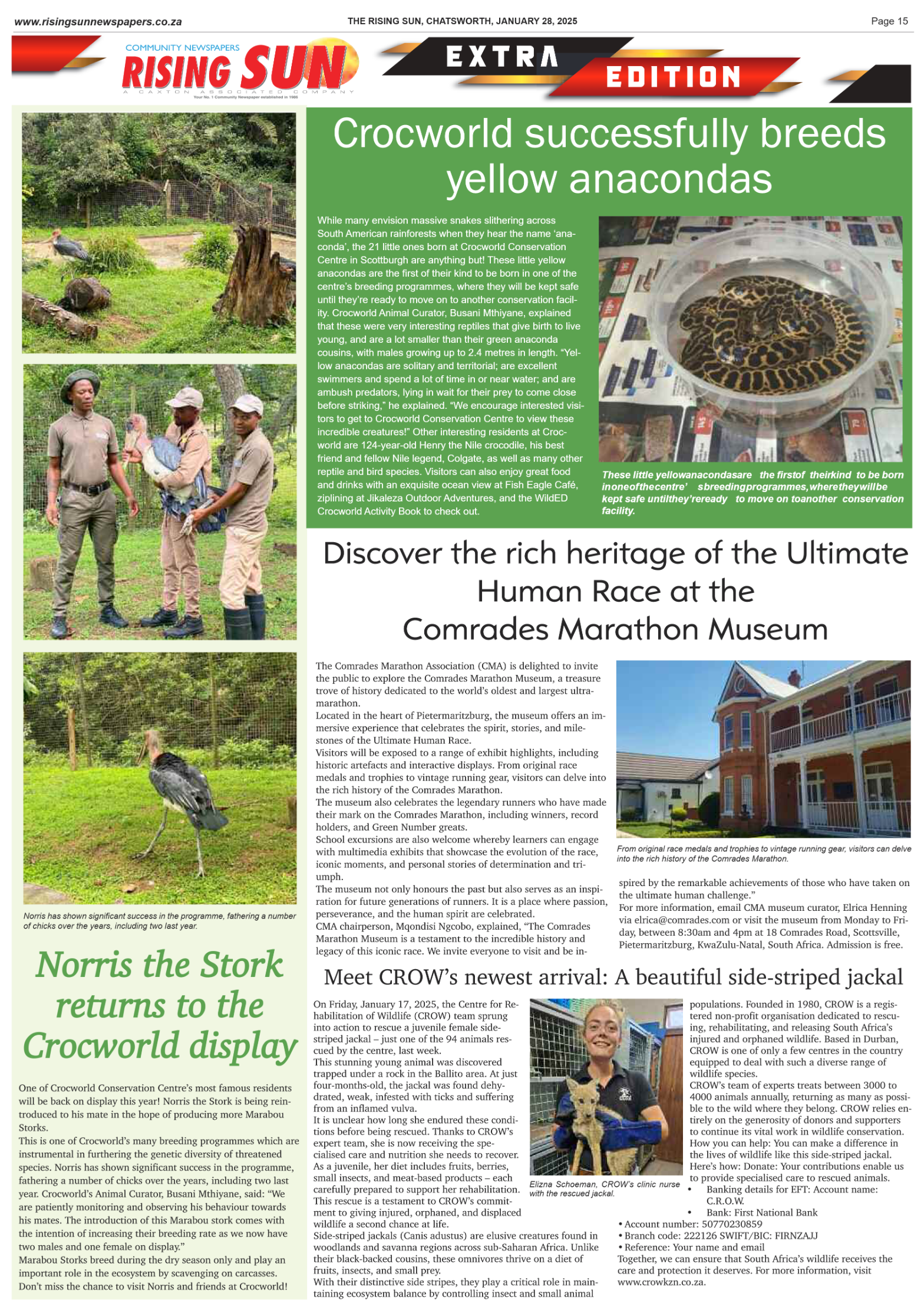 Rising Sun Chatsworth E-Paper, January 28, 2025 page 17